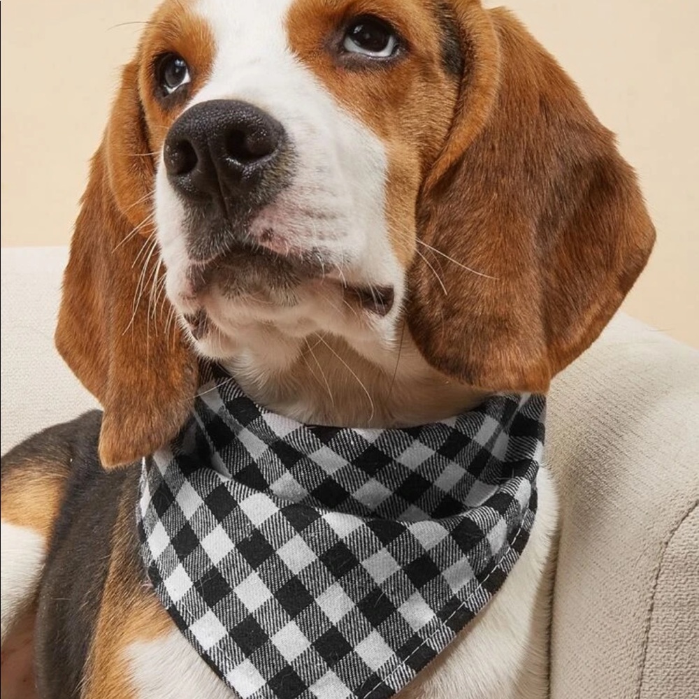 PET BANDANA - Picture 2 of 16